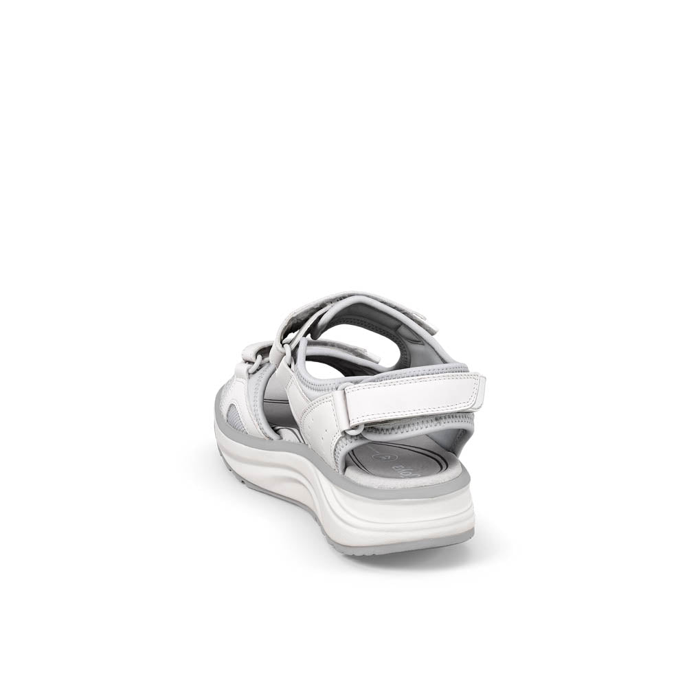 Komodo II SR white