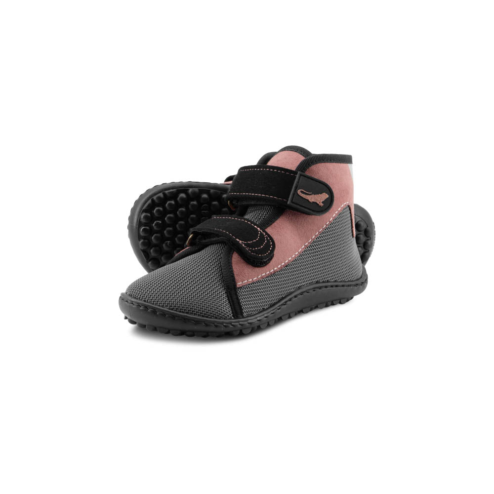 leguanito_scippo rose_Klett_01