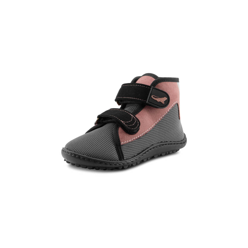 leguanito_scippo rose_Klett_02