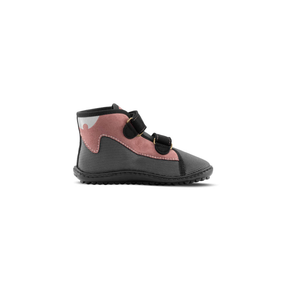 leguanito_scippo rose_Klett_04